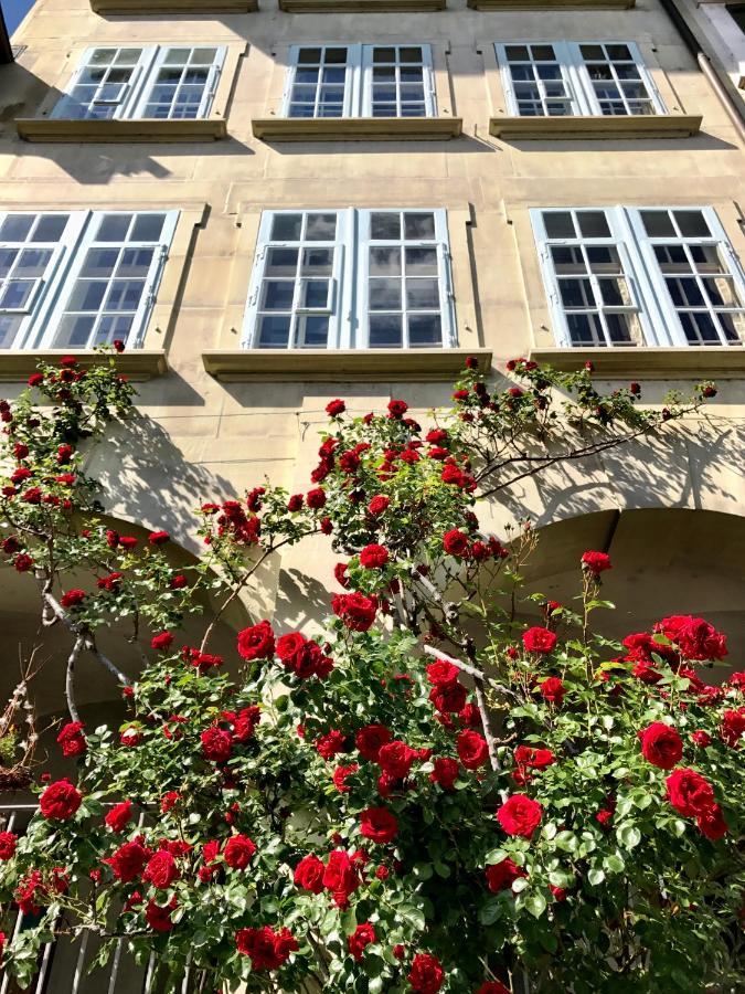 Historical, Bright & Beautiful In Old City - 3Rd Floor Bern Buitenkant foto